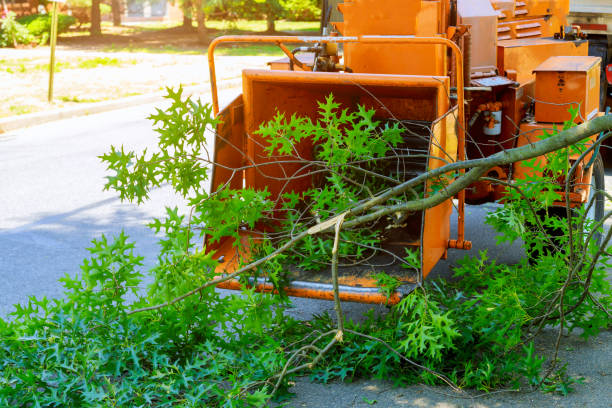 Mulching Services in White Rock, NM